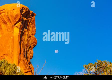 Monduntergang über Parade der Elefanten Felsformation bei Sonnenaufgang im Arches National Park in Utah. Stockfoto