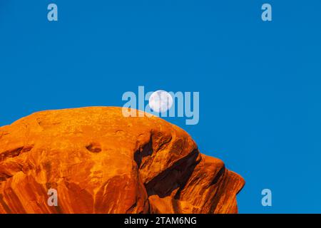 Monduntergang über Parade der Elefanten Felsformation bei Sonnenaufgang im Arches National Park in Utah. Stockfoto