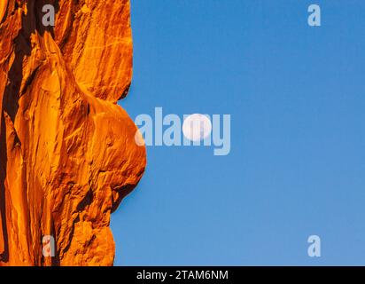 Monduntergang über Parade der Elefanten Felsformation bei Sonnenaufgang im Arches National Park in Utah. Stockfoto