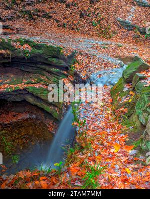 Blick auf die Dundee Falls im Herbst, Beach City Wilderness Area, Ohio Stockfoto