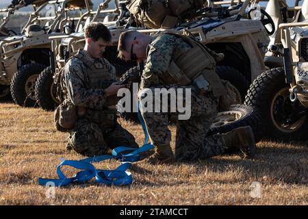 Anthony Manis, Linke, und Major Jerome Lademan bereiten am 29. November 2023 ein Einsatzfahrzeug für die Stand-in Force Übung 24 im Combined Arms Training Center Camp Fuji, Japan vor. SIFEX 24 ist eine Übung auf Abteilungsebene, an der alle Elemente der Marine Air-Ground Task Force beteiligt sind, die sich auf die Stärkung des Bewusstseins für mehrere Bereiche, Manöver und Brände in einer verteilten maritimen Umwelt konzentriert. Diese Übung dient als Probe für die schnelle Projektion der Kampfkraft zur Verteidigung von Verbündeten und Partnern in der Region. Manis, ein gebürtiger aus Leonardtown, Maryland, ist ein Schützling mit 4. März Stockfoto