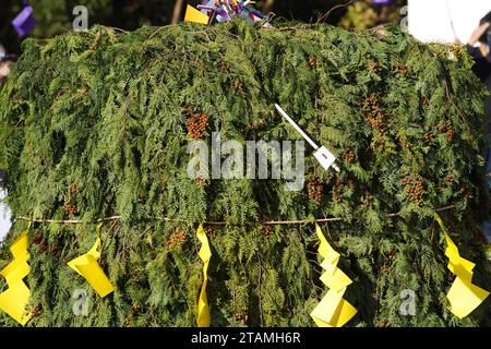 Kagawa, Japan - 23. November 2023: Heilige Lagerfeuer während des Japanischen, genannt Gomataki. Religiöses Lagerfeuer im Zentuji-Park, Kagawa. Stockfoto