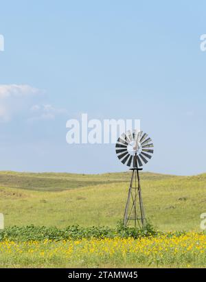 Windmühle aus Vintage-Metall inmitten einheimischer Sonnenblumen in einer Prärie in Nebraska mit sandhills in der Ferne. Stockfoto