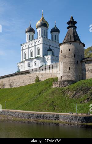 Alte Kathedrale der lebensspendenden Dreifaltigkeit im Pskower Kreml an einem sonnigen Maitag. Pskov, Russland Stockfoto