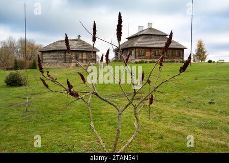 21. November 2020, Kossowo, Weißrussland: museumsgut Tadeusz Kosciuszko. Er nahm an der Amerikanischen Revolution und dem Unabhängigkeitskrieg Teil und führte die an Stockfoto