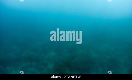 Abstrakte, verschwommene Aufnahme des Schwimmens über den Korallenriffen und dem Meeresboden, beleuchtet von Sonnenstrahlen, die durch die Meeresoberfläche scheinen. Stockfoto