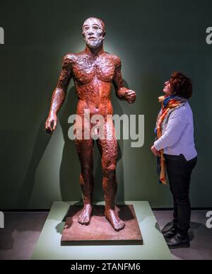 Dorset, England, Großbritannien. Dezember 2023. Riacce III., dreißig Jahre nach ihrem Tod, die erste Ausstellung, die Elisabeth Frinks Zeit in Dorset gewidmet ist und über 80 Skulpturen, Zeichnungen und Drucke im Dorset Museum zeigt. einschließlich der Arbeitspflaster, die die finalen Bronzeskulpturen informierten, die nie öffentlich ausgestellt wurden vom 2. Dezember 2023 bis 21. April 2024.Paul Quezada-Neiman/Alamy Live News Credit: Paul Quezada-Neiman/Alamy Live News Stockfoto