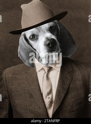 Porträt eines Hundes mit Anzug, Krawatte und Hut. Stockfoto