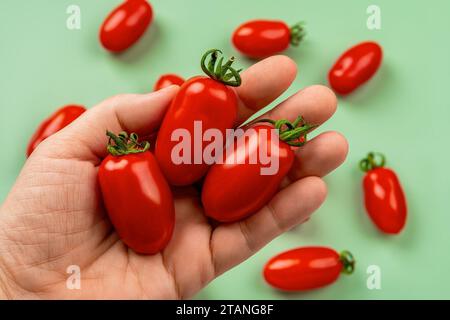 Rohe Ornela-Kirschtomaten auf einer Frauenhandpalme über grünem Hintergrund. Weibliche Hand hält drei kleine flaschenförmige Tomaten aus der Nähe. Bio-Gemüse Stockfoto