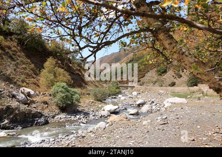 Die Landschaft am Fluss Urumbash in der Nähe des Kaldamanenpasses zwischen Arslanbob und Kasarman in Kirgisistan, Zentralasien Stockfoto