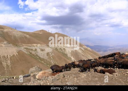 Blick vom Kaldaman Pass zwischen Arslanbob und Kasarman in Kirgisistan, Zentralasien Stockfoto