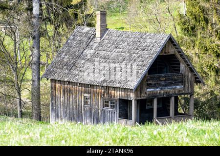 Ein kleines Holzhaus mitten im Wald zwischen Grünpflanzen und Bäumen Stockfoto