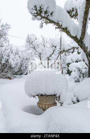 Tiefschneebedeckter Garten im Winter mit starkem Schneefall, Gefahr des Schneebruchs Stockfoto