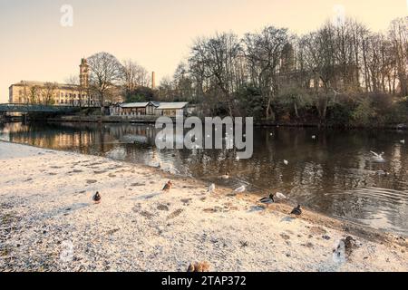 Mülltonnen in der Hintergasse zwischen Terrassengrundstücken im Modelldorf Saltaire in West Yorkshire. Stockfoto