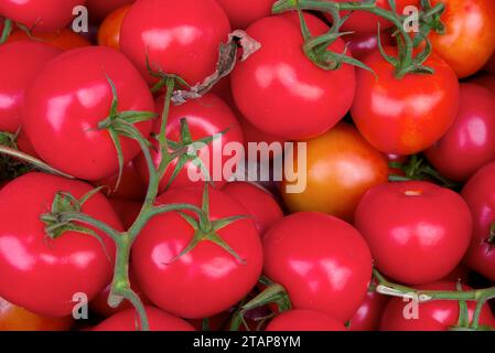 Fruits et Legumes sur un etalage de marché: Obst und Gemüse auf einem Markt Stockfoto