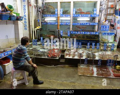 HONGKONG - 19. April 2016: Ein Fischgeschäft in Hongkong. Stockfoto