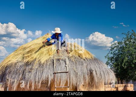 afrikanerin kletterte, um ein Strohdach auf ihrer Hütte zu reparieren Stockfoto