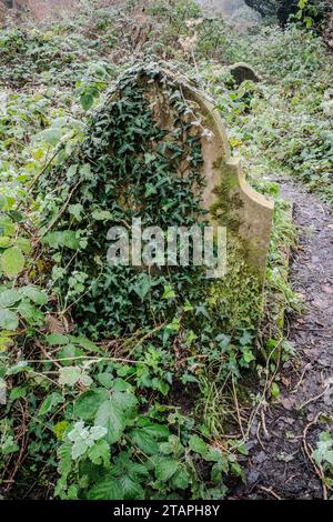 Frostiger Wintertag auf einem Friedhof in Cardiff, Wales. Mit Efeu bedeckter Grabstein. Evokativ, traurig, traurig, gotisch, Tod, Leben Nach Dem Tod. Konzepte. Stockfoto