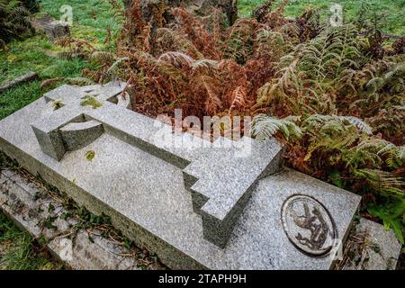 Frostiger Wintertag auf einem Friedhof in Cardiff, Wales. Mit Fern bedeckter keltischer Grabstein. Evokativ, traurig, traurig, gotisch, Tod, Leben Nach Dem Tod. Konzepte. Stockfoto