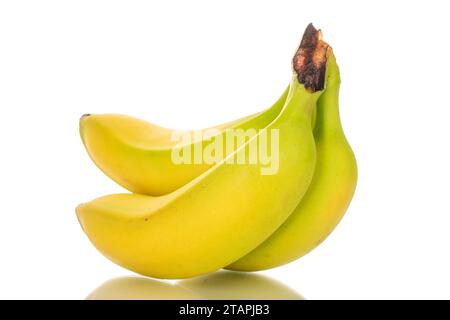 Mehrere reife hellgelbe Bananen, Makro, isoliert auf weißem Hintergrund. Stockfoto