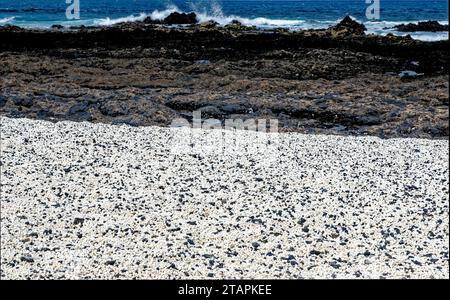 Playa del Mejillon oder Playa del Bajo de la Burra, genannt Popcorn Beach - Spanien, Kanarische Inseln, Fuerteventura. 24.09.2023 Stockfoto