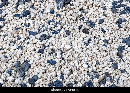 Kontrast von schwarzen vulkanischen Kieselsteinen und weißen Stücken zerquetschter Korallen, die die Form eines Popcorns haben - Playa del Mejillon oder Playa del Bajo de la Burr Stockfoto