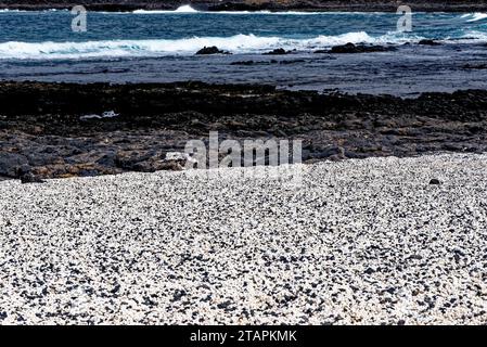 Playa del Mejillon oder Playa del Bajo de la Burra, genannt Popcorn Beach - Spanien, Kanarische Inseln, Fuerteventura. 24.09.2023 Stockfoto