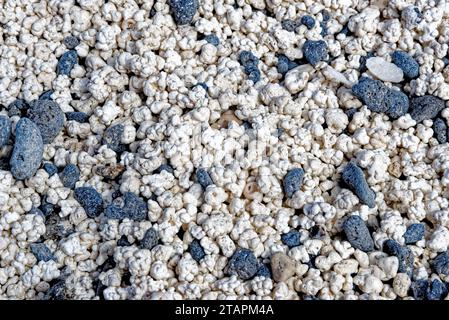 Kontrast von schwarzen vulkanischen Kieselsteinen und weißen Stücken zerquetschter Korallen, die die Form eines Popcorns haben - Playa del Mejillon oder Playa del Bajo de la Burr Stockfoto