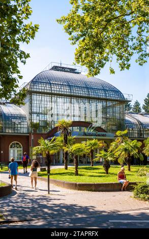 An einem sonnigen Sommernachmittag geht es in Richtung Haupteingang des Palmengartens in Frankfurt am Main. Stockfoto