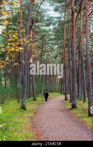 Junge Frau wandert im Herbst auf Waldwegen in Ystad, Skandinavien, Schweden Stockfoto