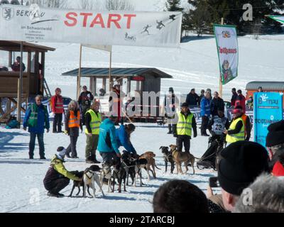 Ausgangspunkt der Schlittenhund-Weltmeisterschaft, Bernau, Schwarzwald, Baden-Württemberg, Deutschland Stockfoto