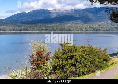 TE Anau liegt am Ufer des Lake Te Anau in Neuseeland Stockfoto