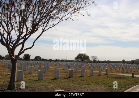 San Antonio, USA. Dezember 2023. Blick auf das Friedhofsgelände auf dem Fort Sam Houston National Cemetery in San Antonio, Texas, USA, am 1. Dezember 2023. Derzeit hat der Friedhof 338 Acres, von denen 200 Acres erschlossen wurden. Der Fort Sam Houston National Cemetery hat das Potenzial, über Jahrzehnte geöffnet zu bleiben. (Foto: Carlos Kosienski/SIPA USA) Credit: SIPA USA/Alamy Live News Stockfoto