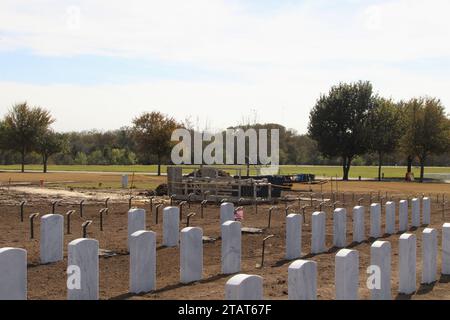 San Antonio, USA. Dezember 2023. Temporäre Marker und permanente Grabsteine auf dem Gelände des Fort Sam Houston National Cemetery in San Antonio, Texas, USA, am 1. Dezember 2023. Derzeit hat der Friedhof 338 Acres, von denen 200 Acres erschlossen wurden. Der Fort Sam Houston National Cemetery hat das Potenzial, über Jahrzehnte geöffnet zu bleiben. (Foto: Carlos Kosienski/SIPA USA) Credit: SIPA USA/Alamy Live News Stockfoto