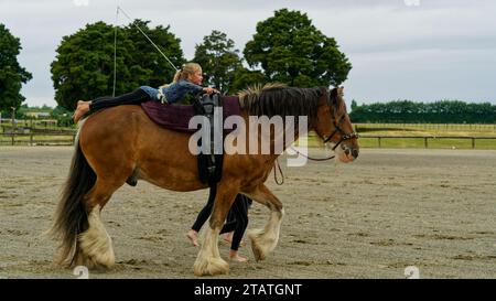 Marchwood Park, Motueka, Tasman District, Aotearoa/Neuseeland – 2. Dezember 2023: Akrobat balanciert auf einem Pferd bei der Motueka A and P Show. Nicht-TIC Stockfoto