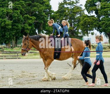 Marchwood Park, Motueka, Tasman District, Aotearoa/Neuseeland – 2. Dezember 2023: Akrobaten auf einem Pferd bei der Motueka A and P Show. Kein Ticket Stockfoto