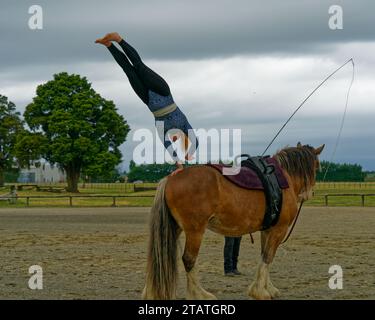 Marchwood Park, Motueka, Tasman District, Aotearoa/Neuseeland – 2. Dezember 2023: Acrobat Somersault steigt von einem Pferd an den Motueka A und P ab Stockfoto