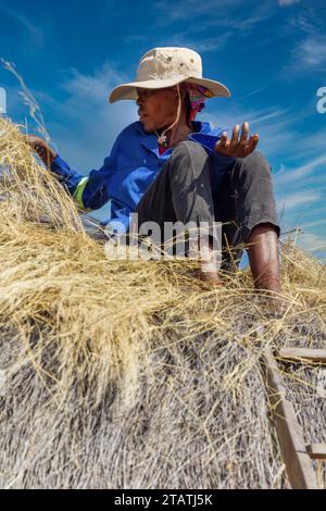 afrikanische Frau, die das Strohdach einer Hütte im Dorf repariert Stockfoto