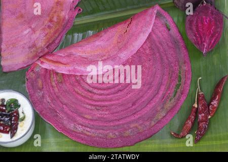 Rote-Bete-Ghee-Braten. Eine farbenfrohe, aromatische südindische knusprige Crapes aus fermentiertem Reis und Linsen gemischt mit Roter Bete. Serviert auf Ba Stockfoto