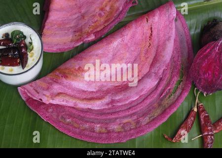 Rote-Bete-Ghee-Braten. Eine farbenfrohe, aromatische südindische knusprige Crapes aus fermentiertem Reis und Linsen gemischt mit Roter Bete. Serviert auf Ba Stockfoto