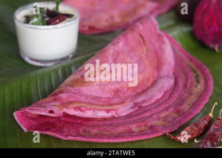 Rote-Bete-Ghee-Braten. Eine farbenfrohe, aromatische südindische knusprige Crapes aus fermentiertem Reis und Linsen gemischt mit Roter Bete. Serviert auf Ba Stockfoto