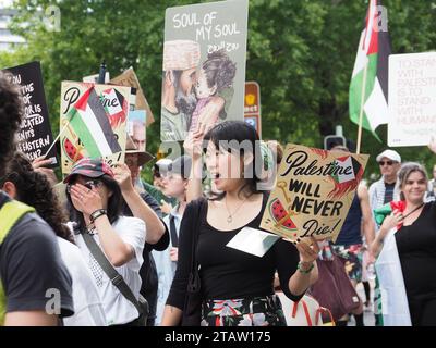 Australien, Canberra, 3. Dezember 2023. Am achten Wochenende in Folge versammeln sich Hunderte von Kanberern in der Stadt, um ein Ende des Völkermords in Gaza zu fordern und Solidarität mit Palästina zu zeigen Stockfoto