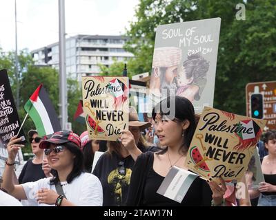 Australien, Canberra, 3. Dezember 2023. Am achten Wochenende in Folge versammeln sich Hunderte von Kanberern in der Stadt, um ein Ende des Völkermords in Gaza zu fordern und Solidarität mit Palästina zu zeigen Stockfoto