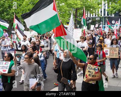 Australien, Canberra, 3. Dezember 2023. Am achten Wochenende in Folge versammeln sich Hunderte von Kanberern in der Stadt, um ein Ende des Völkermords in Gaza zu fordern und Solidarität mit Palästina zu zeigen Stockfoto