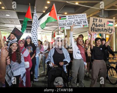 Australien, Canberra, 3. Dezember 2023. Am achten Wochenende in Folge versammeln sich Hunderte von Kanberern in der Stadt, um ein Ende des Völkermords in Gaza zu fordern und Solidarität mit Palästina zu zeigen Stockfoto