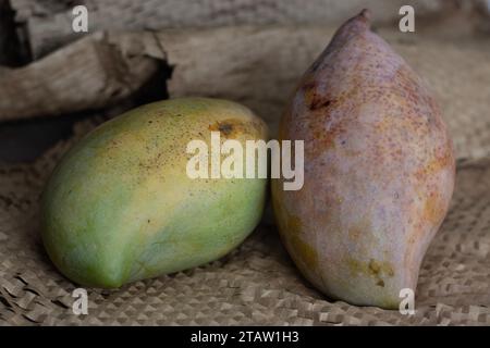 Frische große Totapuri-Mangos, saftig und lebendig in der Farbe. Er ist länglich und hat einen markanten Schnabel wie ein spitzes Ende Auf rustikalem Braun angeordnet Stockfoto