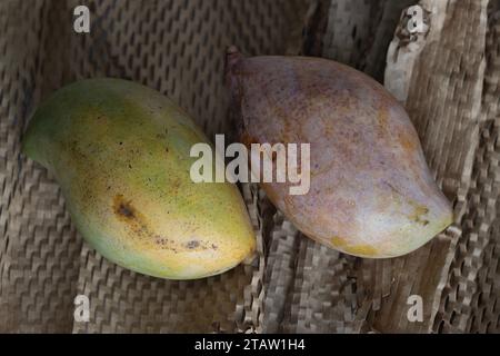 Frische große Totapuri-Mangos, saftig und lebendig in der Farbe. Er ist länglich und hat einen markanten Schnabel wie ein spitzes Ende Auf rustikalem Braun angeordnet Stockfoto