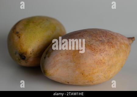 Frische große Totapuri-Mangos, saftig und lebendig in der Farbe. Er ist länglich und hat einen markanten Schnabel wie ein spitzes Ende Arrangiert auf einem weißen Hintergras Stockfoto