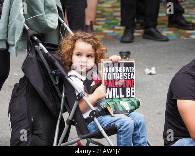 Australien, Canberra, 3. Dezember 2023. Am achten Wochenende in Folge versammeln sich Hunderte von Kanberern in der Stadt, um ein Ende des Völkermords in Gaza zu fordern und Solidarität mit Palästina zu zeigen Stockfoto