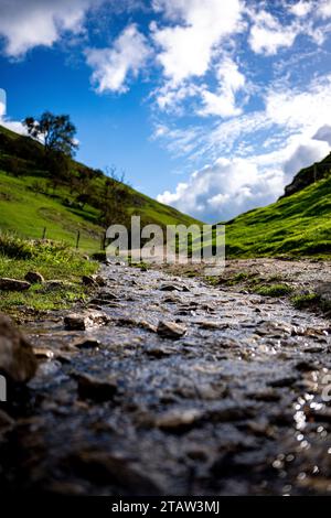 Ein ruhiger Bach schlängelt sich durch eine üppig grüne Wiese Stockfoto